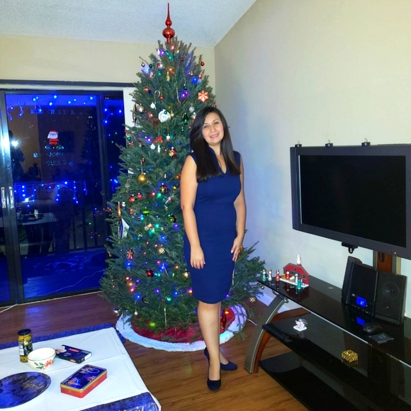 Rolla Coster class cocktail Dress ,adult women. Color: blue size: L - Picture 3 of 3